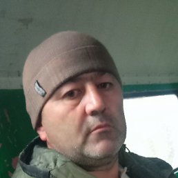 �����, ������, 41 ���