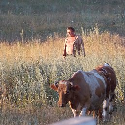 Фото Владимир, Курск, 65 лет Владимир, Курск, 65 лет
