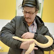 �������, 65 ���, ����������