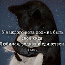  , -, 46  -  27  2024     ...