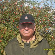 , 58 , 