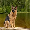  ***Anomaly***, - -  23  2025     .)