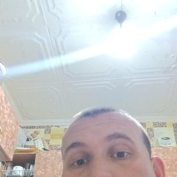 , 32, 
