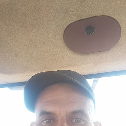 , 40, 