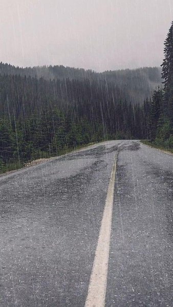 ��� ��������� ��������� � ������ �� ���������� ����� � ��������� � ��������� �� �������������: 1. ... - 2