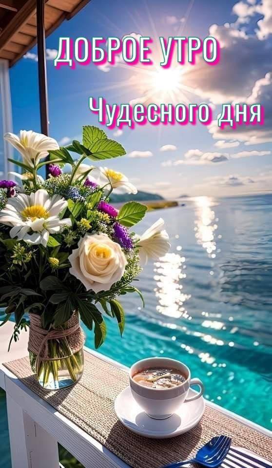   ,    . - 12  2025  07:33