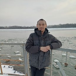 ����, 39 ���, �����