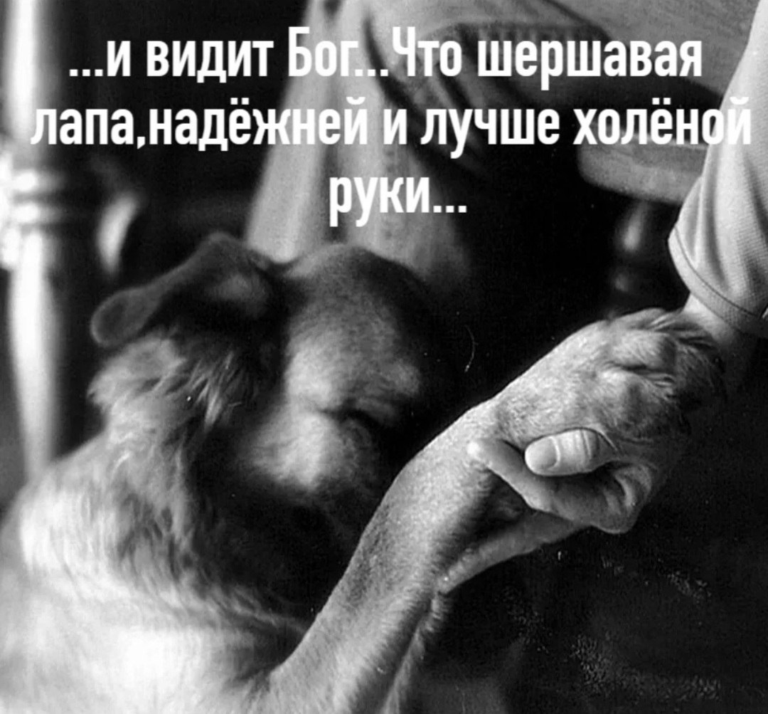 *T���* - 28 ���� 2026 � 19:58