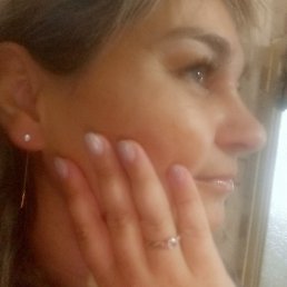 �����, 41 ���, ���������