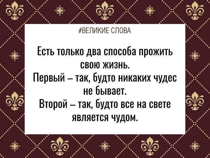   | ,    - 20  2024  08:00