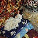 ���� �������, ����, 45 ��� - ��������� 29 �������� 2025 � ������ ���� ����������