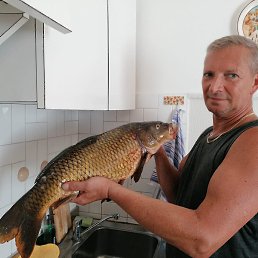 Viktor, , 53 