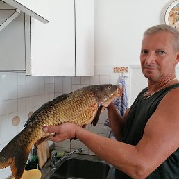 Viktor, , 54 