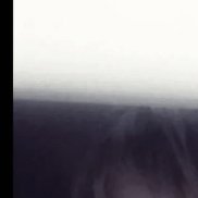 , 41 , 