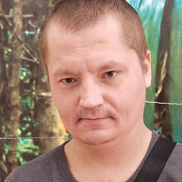 ������, �������-���������, 37 ���