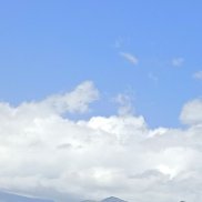 �������, 40 ���, ������