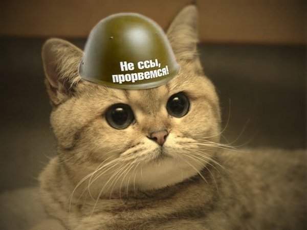   - 10  2025  20:34