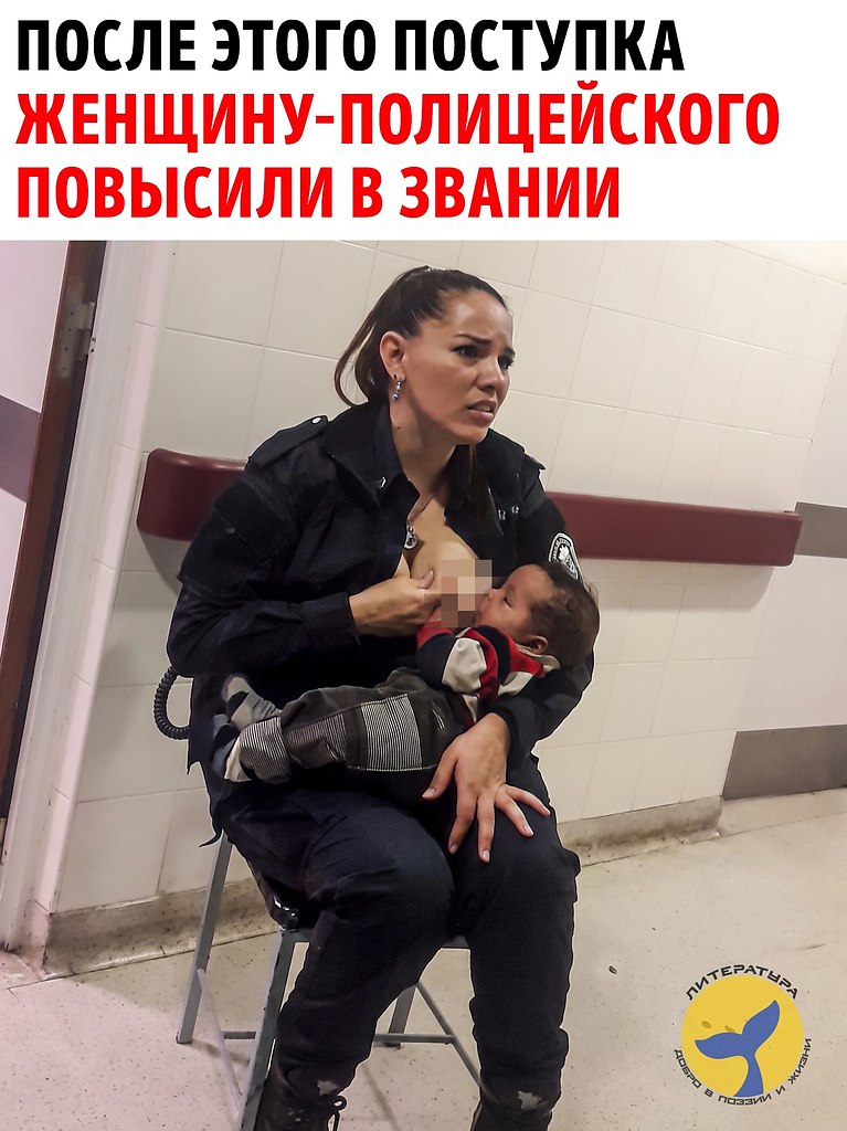 ���������� ������� ��������� ������ ������ ����������� � ������ ������������� �������� � �������� ...