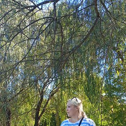 �����, ���������, 41 ���