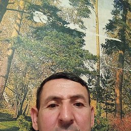 , 42, 