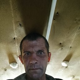, 44, 