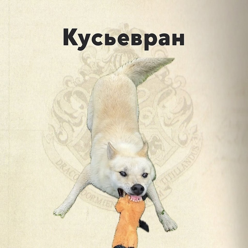       ,     ? - 3