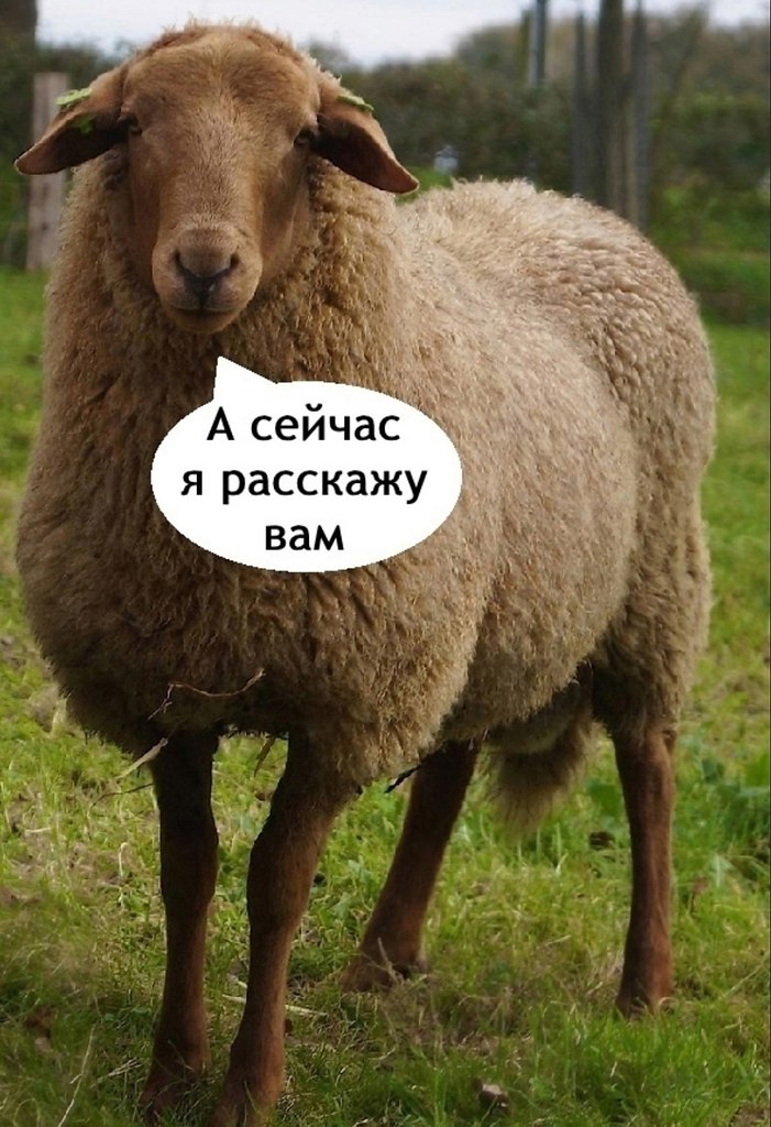 Не листайте этот пост