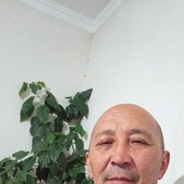 , 55, 