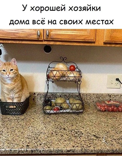  - 1  2025  04:49