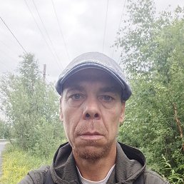, 41,  