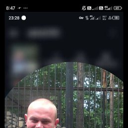 ������, 44 ����, �����������