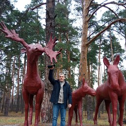 ���� ������, ������, 51 ��� - ��������� 1 ������� 2024