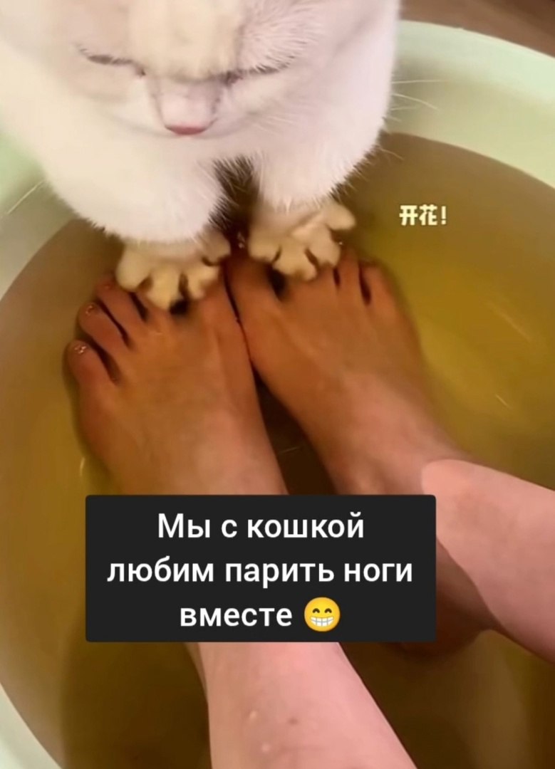  - 13  2025  06:33