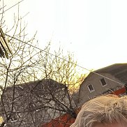 ����, 22 ����, ���������