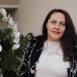 ���� �������, ����, 49 ��� - ��������� 27 ����� 2026