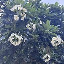 ���� ������, ����-��������� - ��������� 4 ��� 2025 � ������ ���� ����������