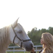 ������, 26 ���, ������������