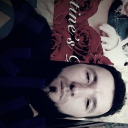 ����, �����-���������, 33 ����