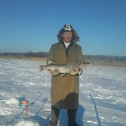 ����, ������, 51 ���