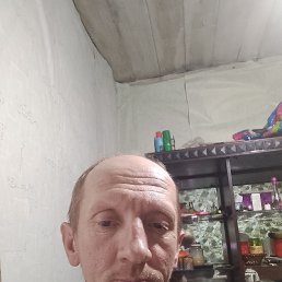 ���� �������, ����, 44 ���� - ��������� 12 ������� 2026