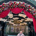 ���� �����, ������, 49 ��� - ��������� 15 ������ 2026 � ������ ���� ����������