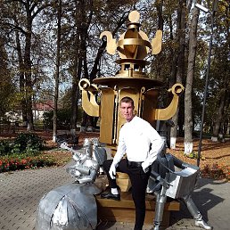 , 29, 