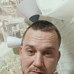 �����, 37 ���, ��������