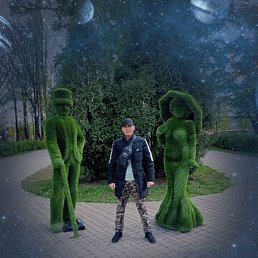 �����, �������, 43 ����