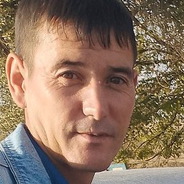 ���� ����, ���������, 40 ���