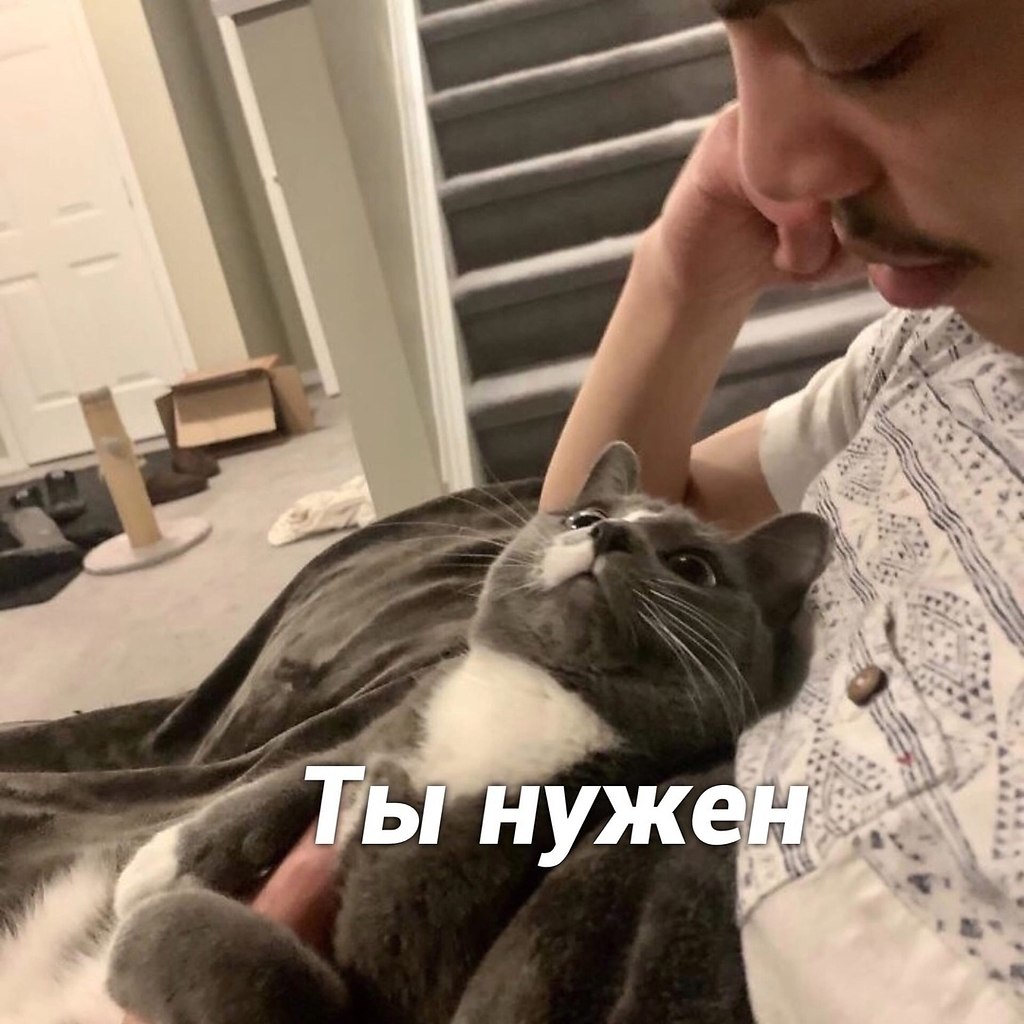      - 6