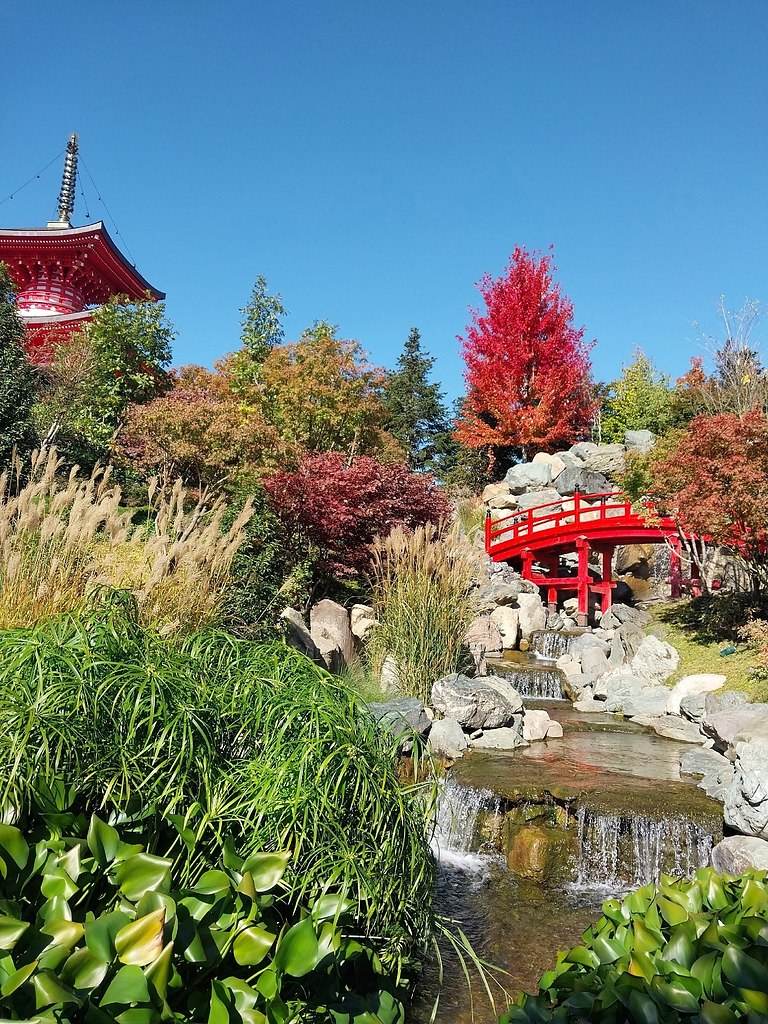 paca oce  oco ca  pacoape. - 4