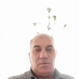 , 56, 