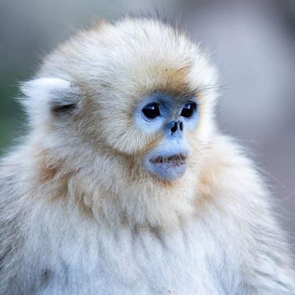    -   .   ,     ... - 7