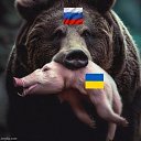  , , 65  -  19  2024    